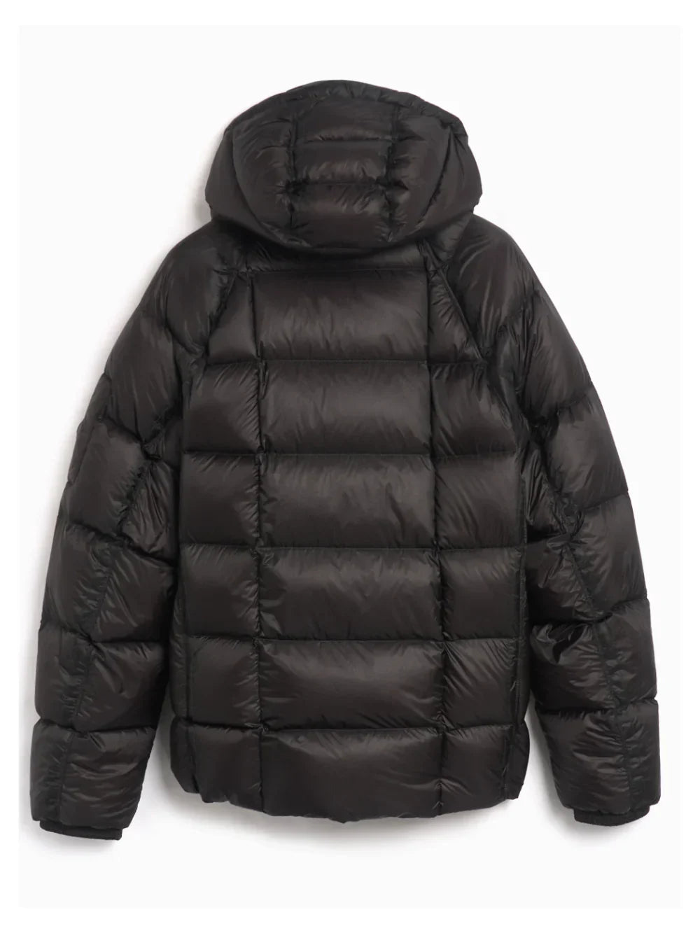 SEVENPETALS x Company Jacket